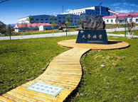 云南天华矿业集团