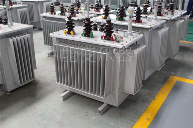 云南S22-100KVA/10KV/0.4KV变压器